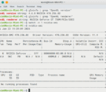 NVIDIA GeForce GT 750M Kepler GPU running on Linux Mint 22 and/or Ubuntu 24.04 with proprietary driver 470.